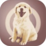 諾曼·福斯特公布紐約公共圖書館翻新方案
